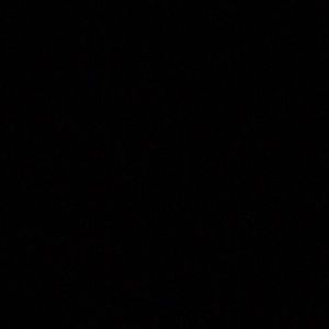 Meet your Posher, Cesar